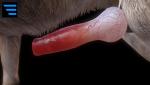 post-991073-0-86136500-1471199233_thumb.jpg